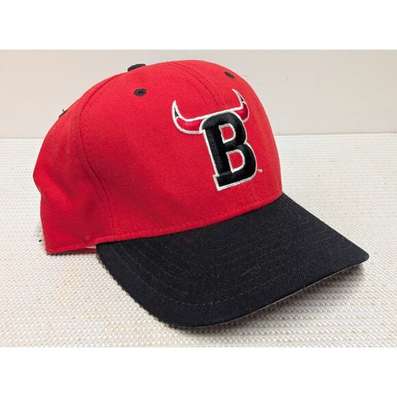 Vintage Chicago Bulls New Era Snapback Hat Cap DUPONT PRO MODEL Made In USA - Picture 1 of 8